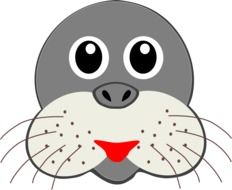 Seal Head Gray Animal Whiskers