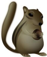 painted brown squirrel