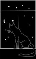 picture of cat on the window at night