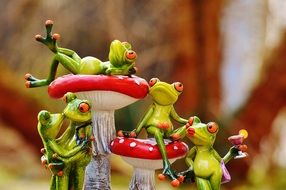 figurines of frogs near the fungus
