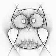 drawing of an owl