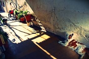 Patio Old