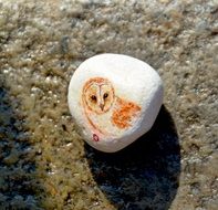 owl painted on stone