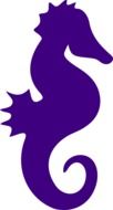 Purple silhouette of seahorse