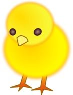 Bird Chicken Hen Animal