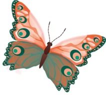 graphic image of a butterfly in a bright color