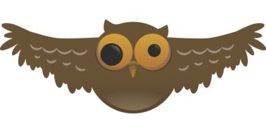 flying owl with funny eyes drawing