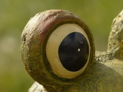 eyeball of a ceramic frog