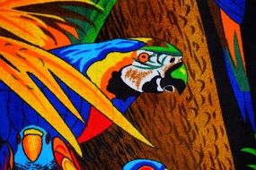 Parrot color drawing
