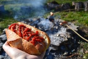 Hot Dog in hand, Fireplace at background