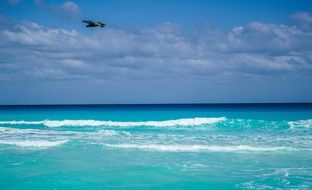 Bird Flying above sea, Mexico, Cancun