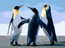 Colorful drawing of the Arctic Penguins clipart