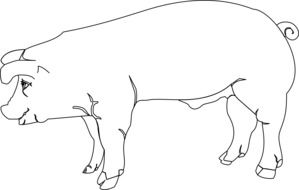 black and white drawing of a pig