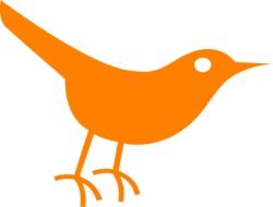 orange bird silhouette on a white background