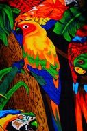 Colorful parrot picture