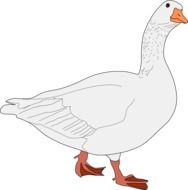 White goose clipart