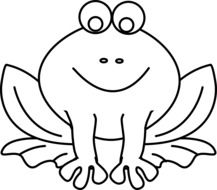 Amphibian Frog drawing