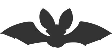 cartoon black silhouette of flying Bat