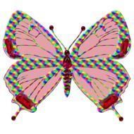 digital drawing of a butterfly