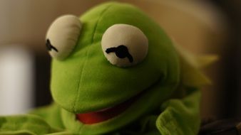 kermit frog close-up on blurred background