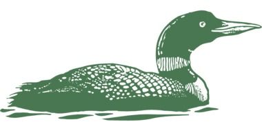 Green Bird drawing