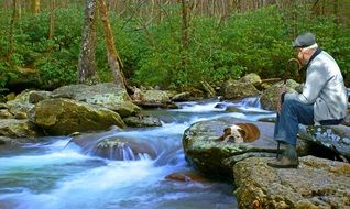 old man with a dog near a forest stream