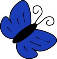 blue butterfly as a graphic image