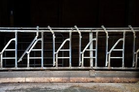 Abstract Husbandry