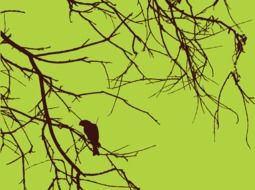 Bird on the branches clipart