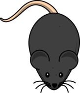 painted dark gray mouse