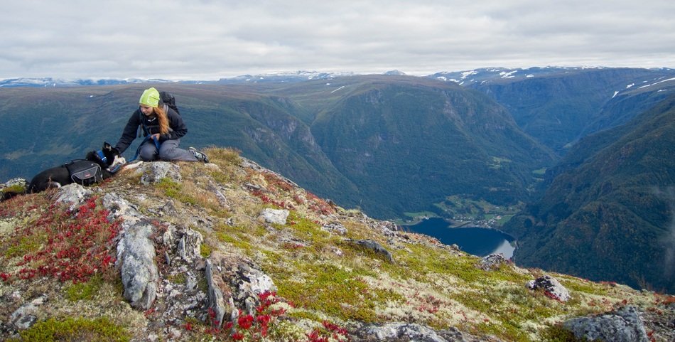 hiking with dog on distant view