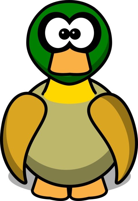 Colorful and beautiful duck drawing at white background