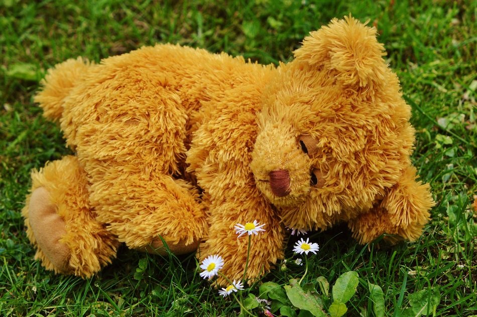 Sleeping teddy bear outdoor free image download