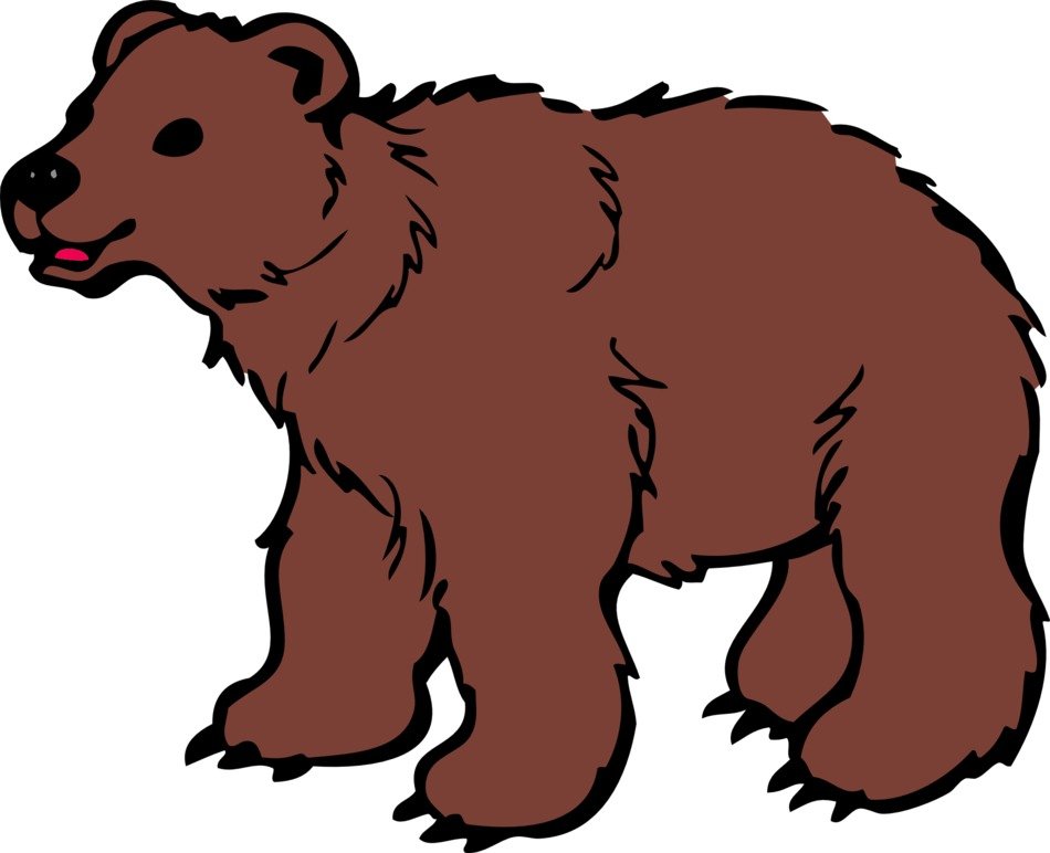brown bear as a graphic image