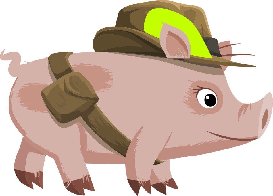 Pink pig animal in the clothes drawing on white background
