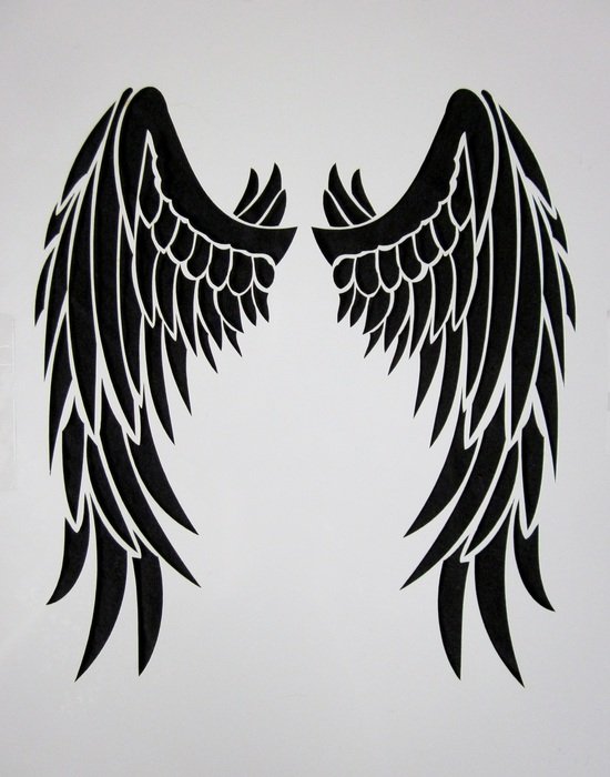 Black and white drawing of the wings