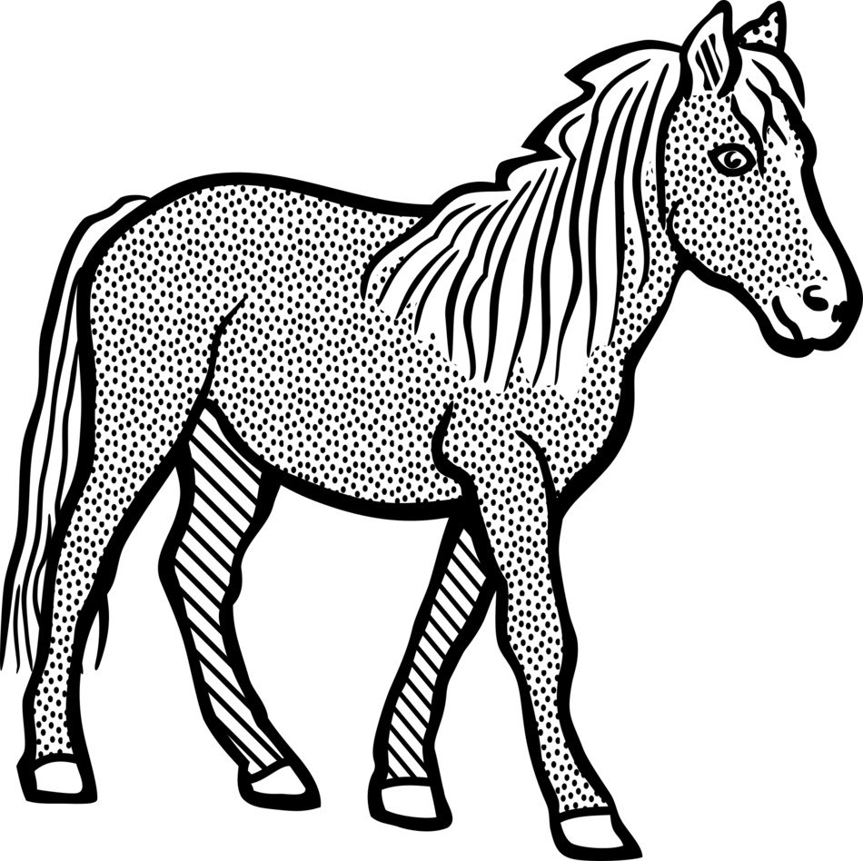 graphic image of a horse at a fine point
