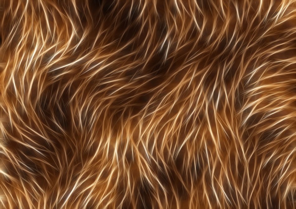graphic animal wallpaper