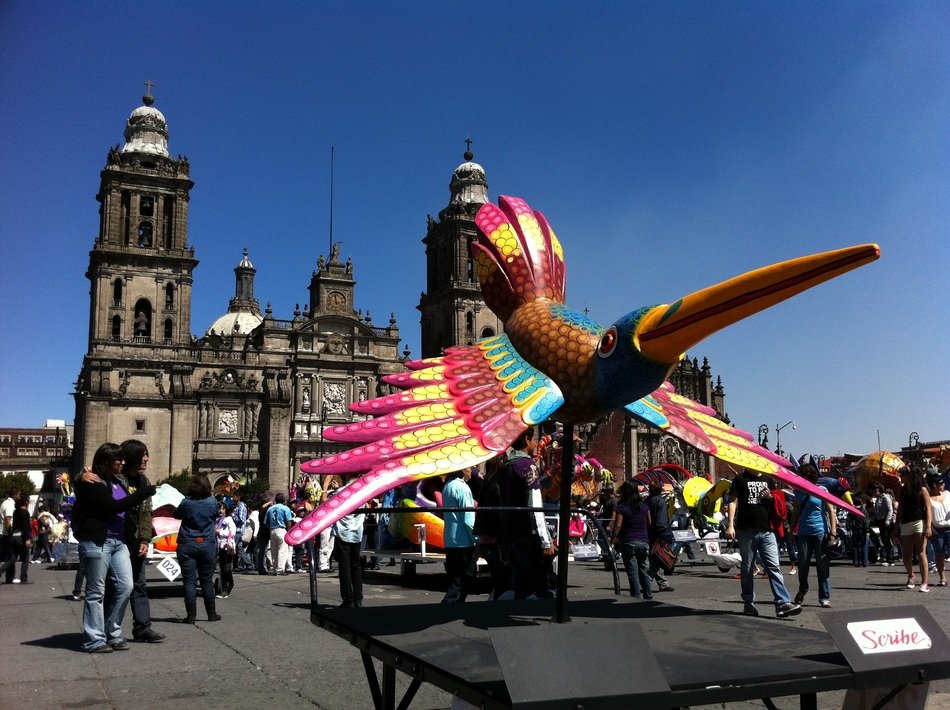 colorful bird in a historic square in mexico