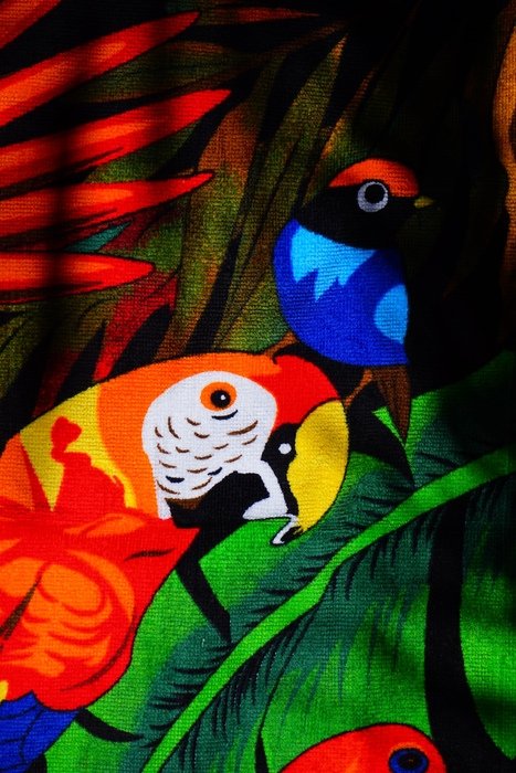 Papgei Red Bird