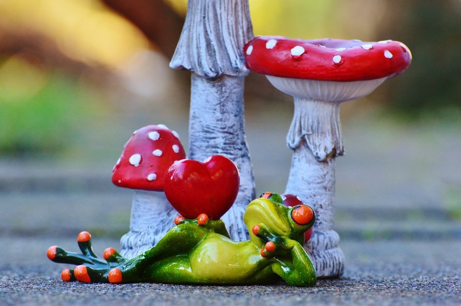 Frog with a heart next to the fungus