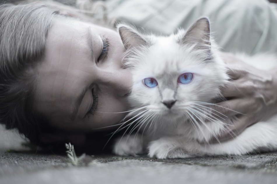 Black and white Portrait of the beautiful white cat with woman