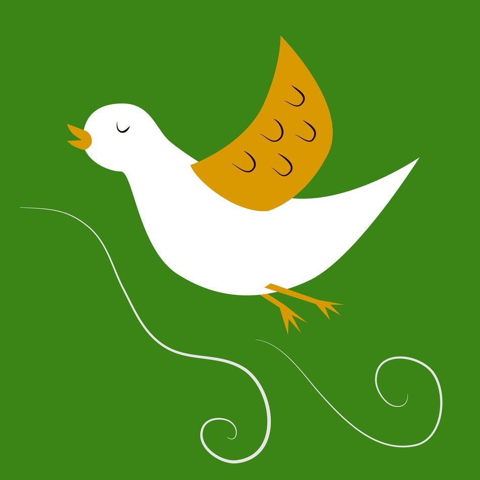 graphic image of a bird in a green square