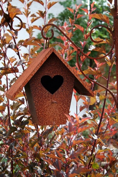 bird feeder with a window in the shape of a heart