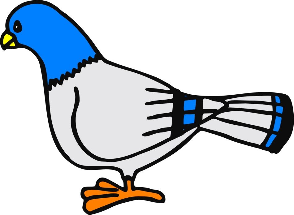 İllustration of Dove Bird