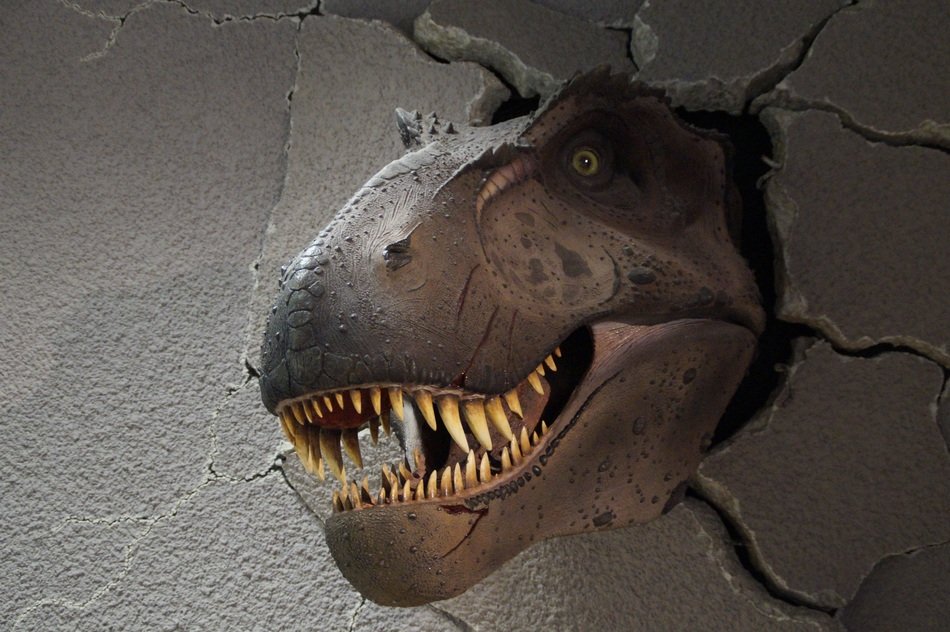 Museum of prehistoric times
