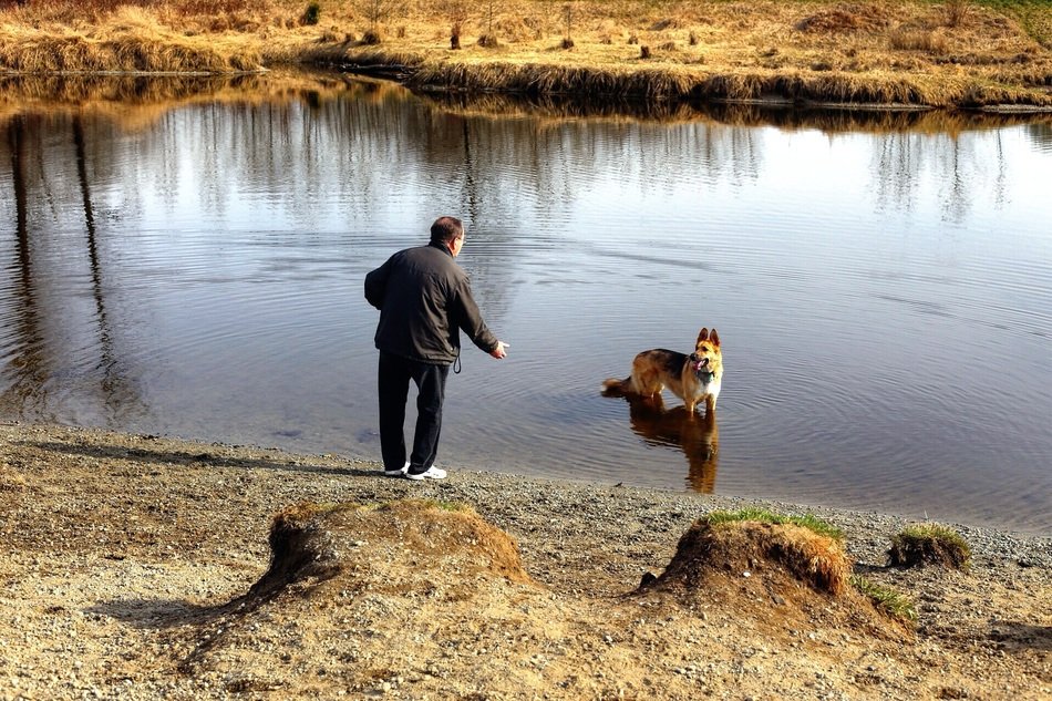 Human and doggie on a lake