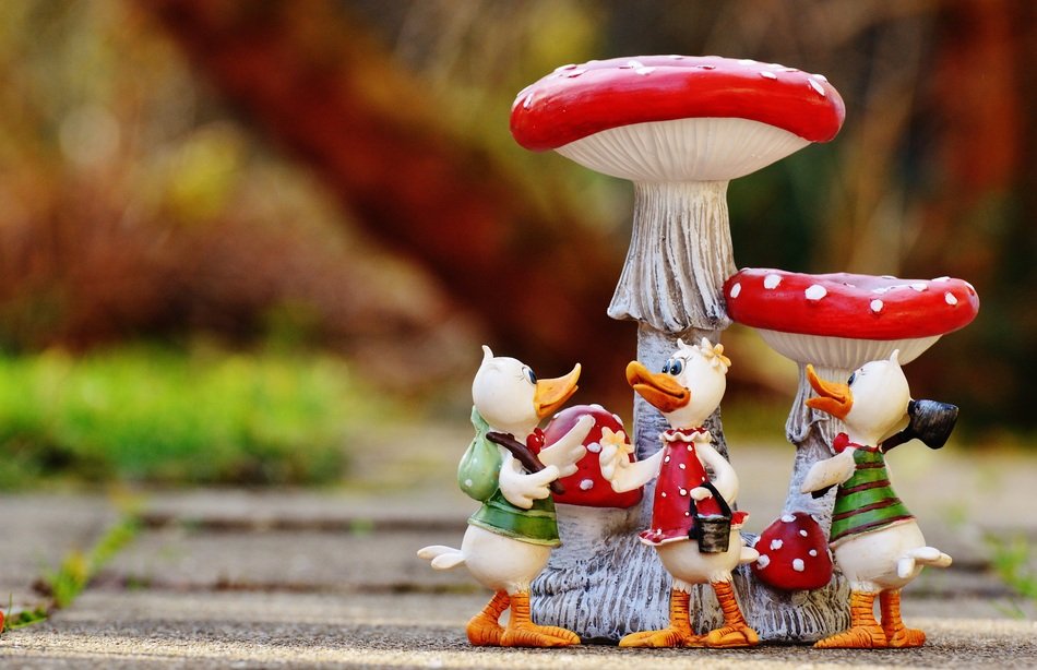 ducks playing near the mushrooms