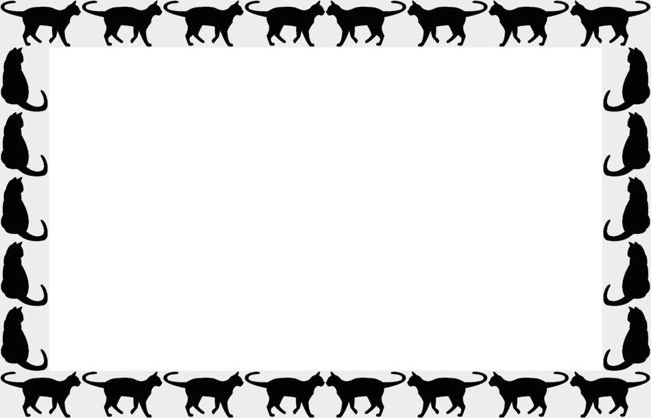 organization of cats in a square