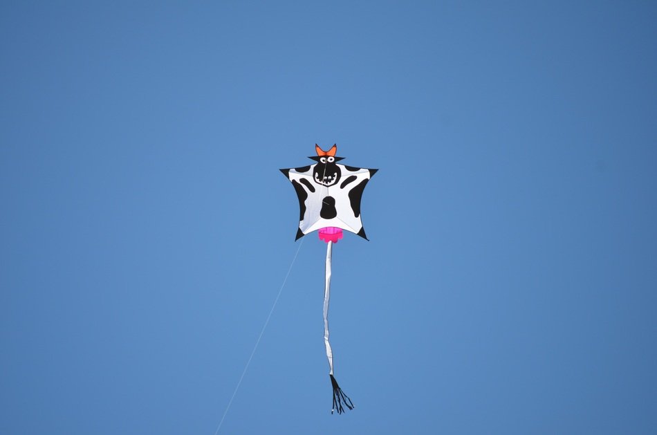 kite with cow pattern